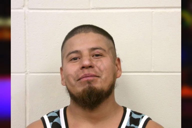 Alexis Lopez Mendoza mugshot – Bulloch County , Georgia Alexis Lopez Mendoza