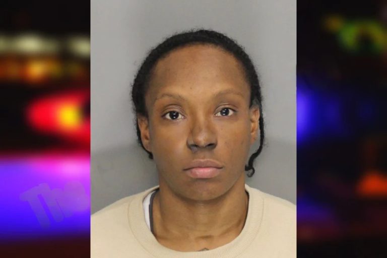 Alexus Pettis mugshot – Chatham County , Georgia Alexus Pettis