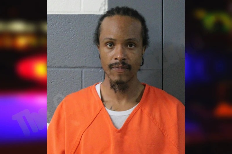 Ali Godbold Mugshots