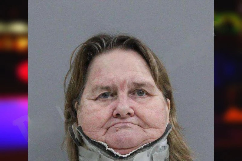 Alice Bradley mugshot