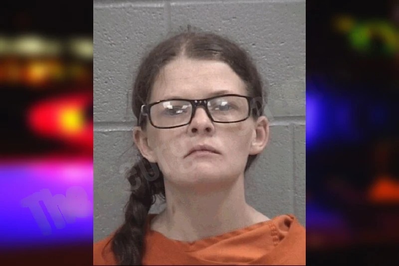 Alice Santiago mugshot