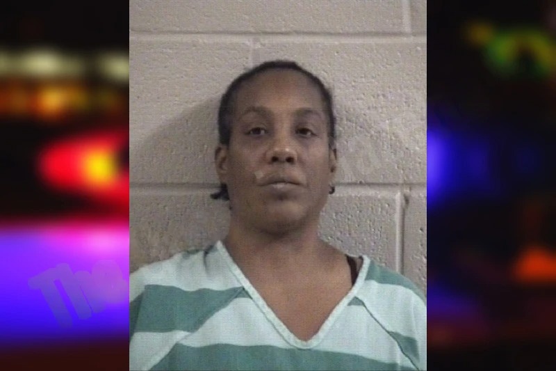 Alicia McClendon Mugshots