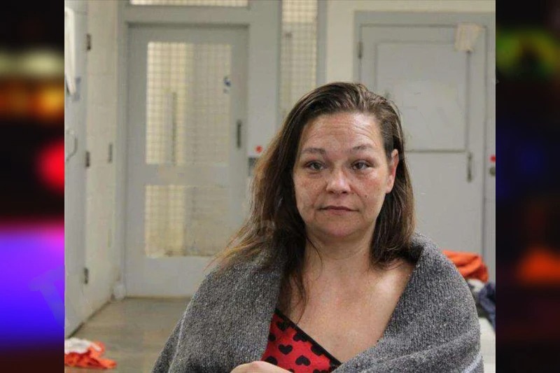 Alisha Hood Mugshots