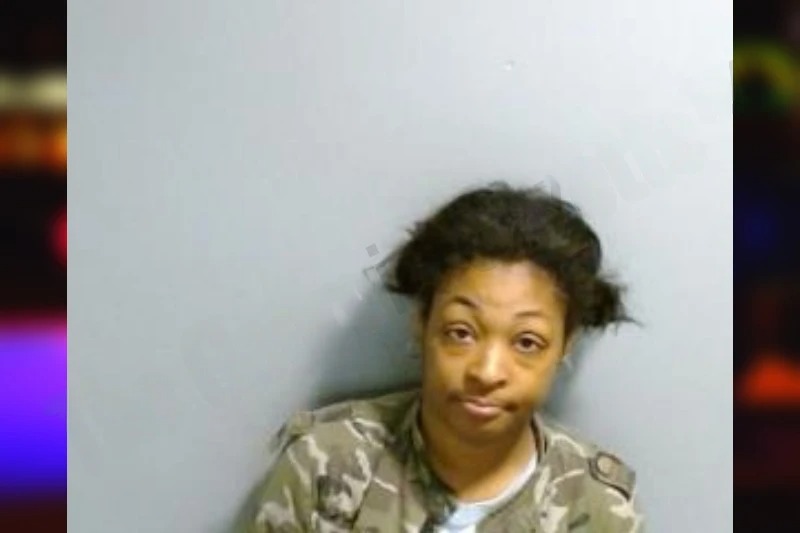 Allison Hammock mugshot – Fulton County , Georgia Allison Hammock mugshot