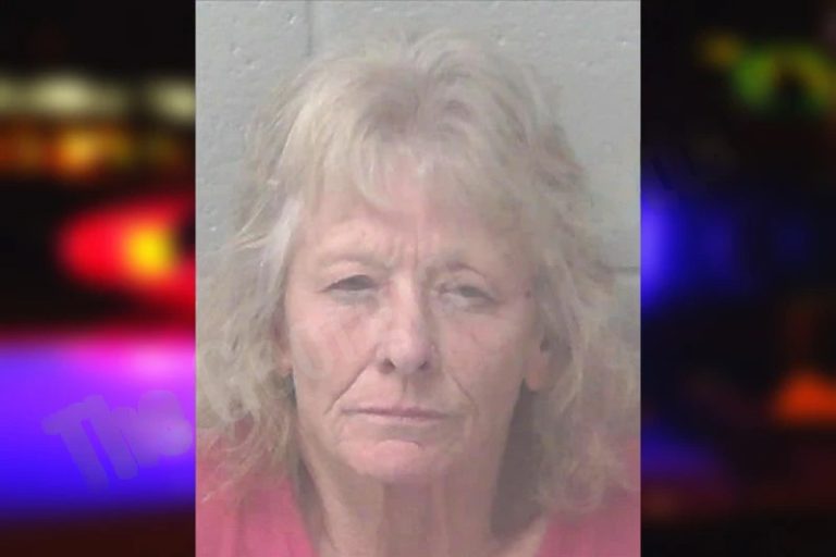 Allison Nichols mugshot – Newton County , Georgia Allison Nichols