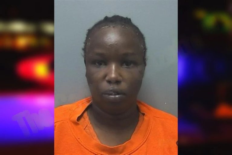 Alual Ar mugshot – Cherokee County , Georgia Alual Ar