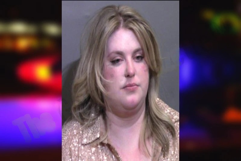 Alyona Hansen Mugshots