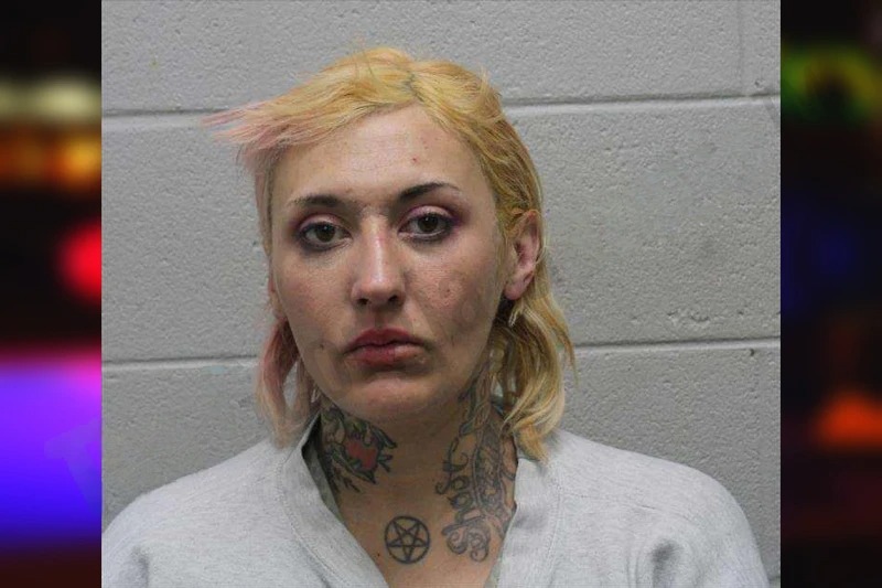 Alyssa Boyer mugshot – Harris County , Georgia Alyssa Boyer mugshot