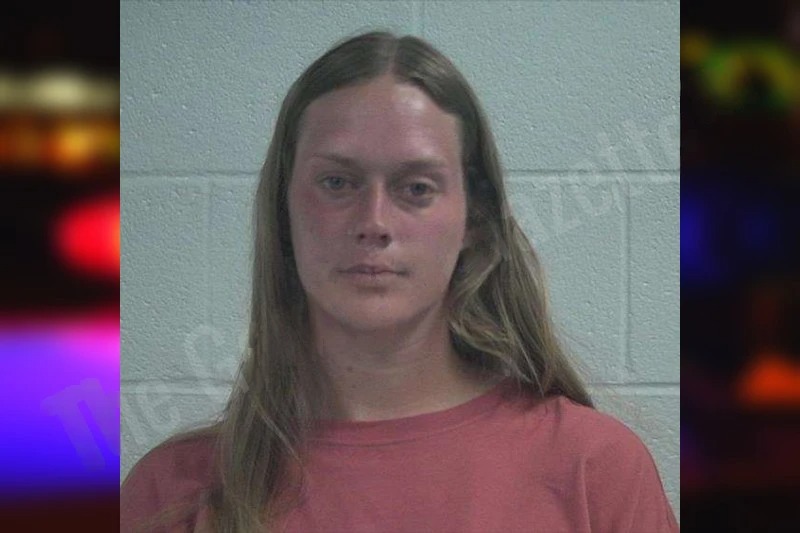 Alyssa Faglier Mugshots