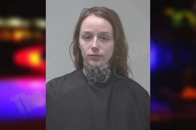 Alyssa Jones mugshot