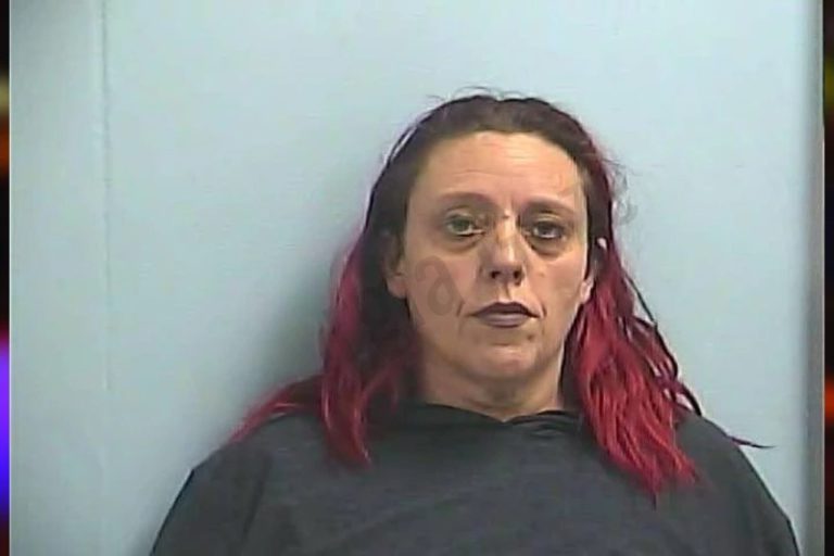 Amanda Adams mugshot – Dawson County , Georgia Amanda Adams