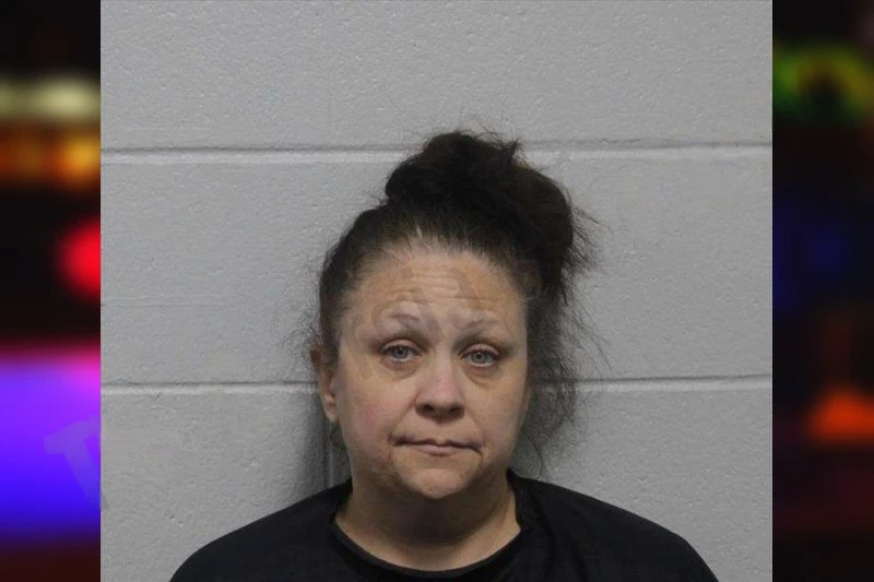 Amanda Camargo Mugshots