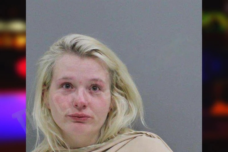 Amanda Hansen mugshot – Rabun County , Georgia Amanda Hansen mugshot