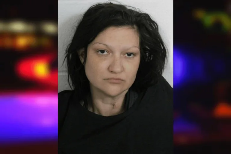 Amanda Hawkins mugshot – Floyd County , Georgia Amanda Hawkins