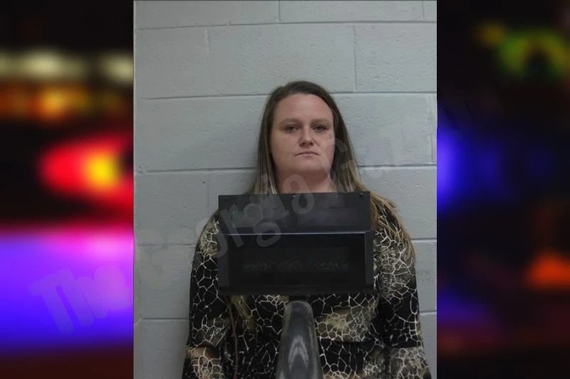 Amanda Herndon Mugshots