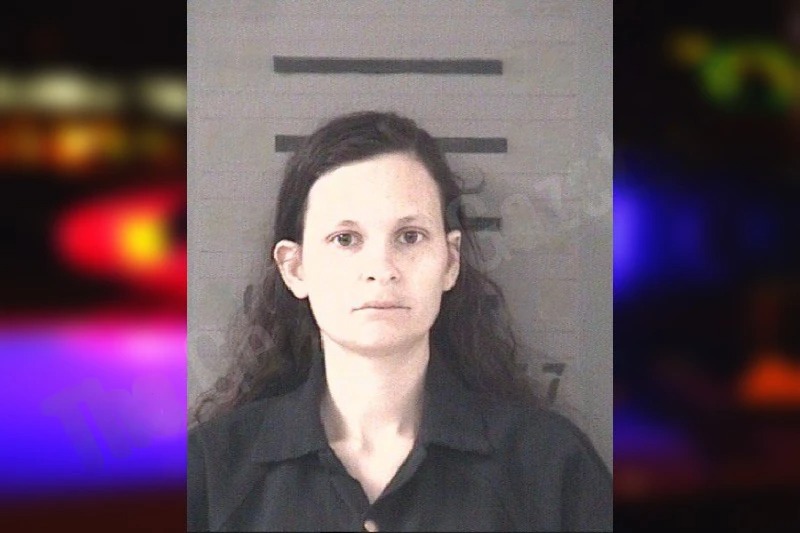 Amanda Johnston Mugshots