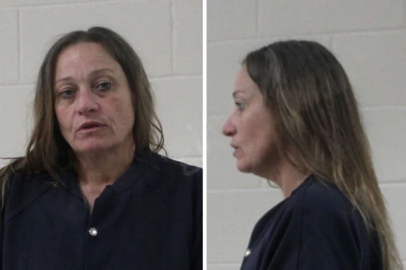 Amanda Lowery Mugshots