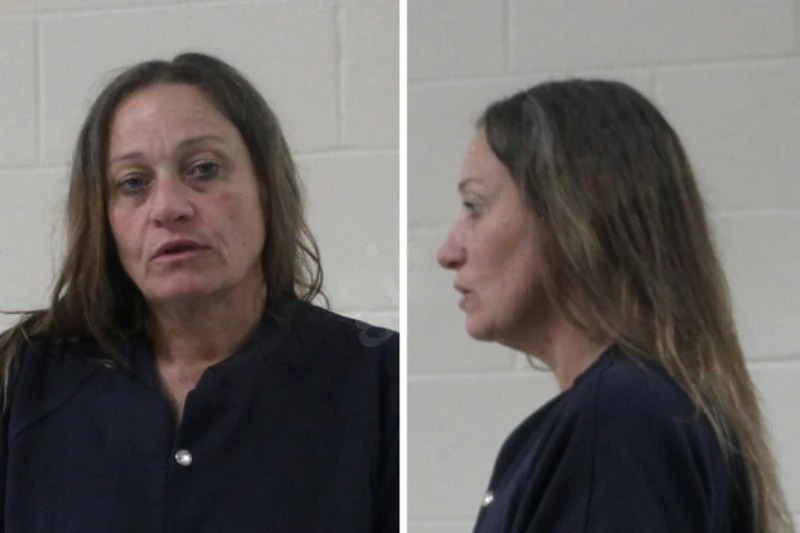 Amanda Lowery Mugshots