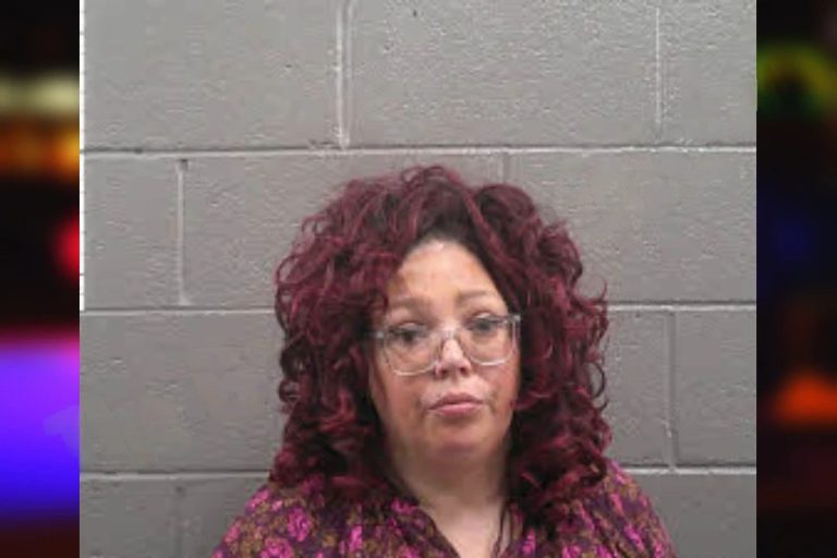 Amanda Lukes mugshot – Banks County , Georgia Amanda Lukes