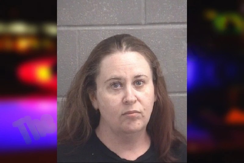 Amanda Owens mugshot