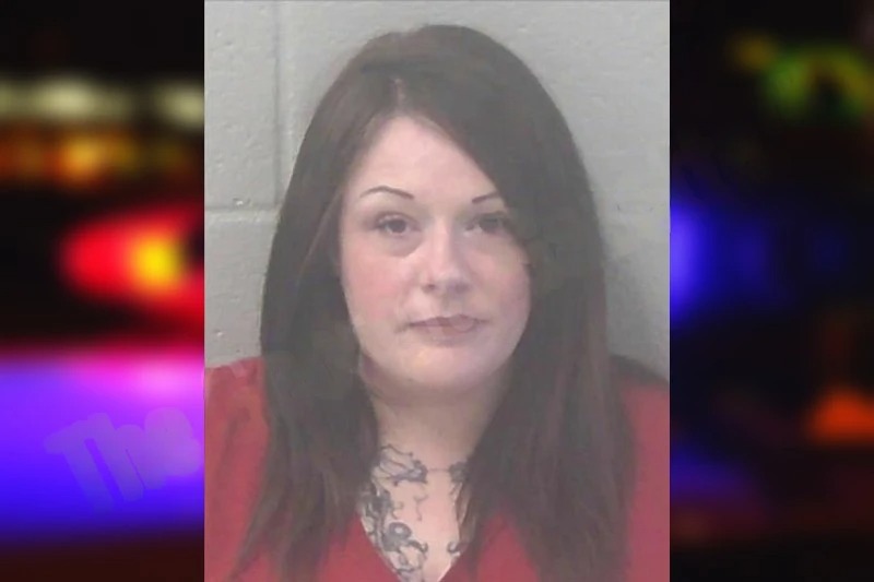 Amanda Palmer mugshot – Newton County , Georgia Amanda Palmer mugshot