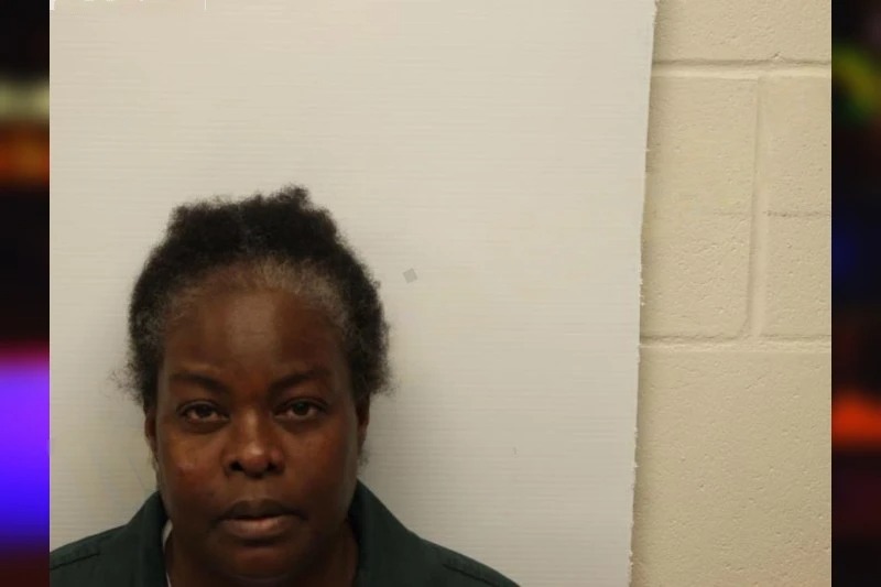 Amanda Thomason Mugshots