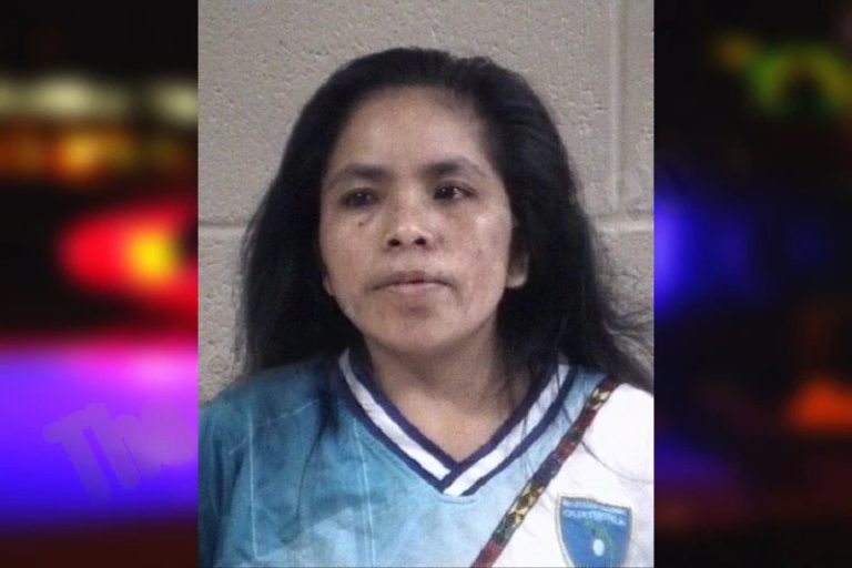 Amanda Vail-Ramirez mugshot – Whitfield County , Georgia Amanda Vail-Ramirez