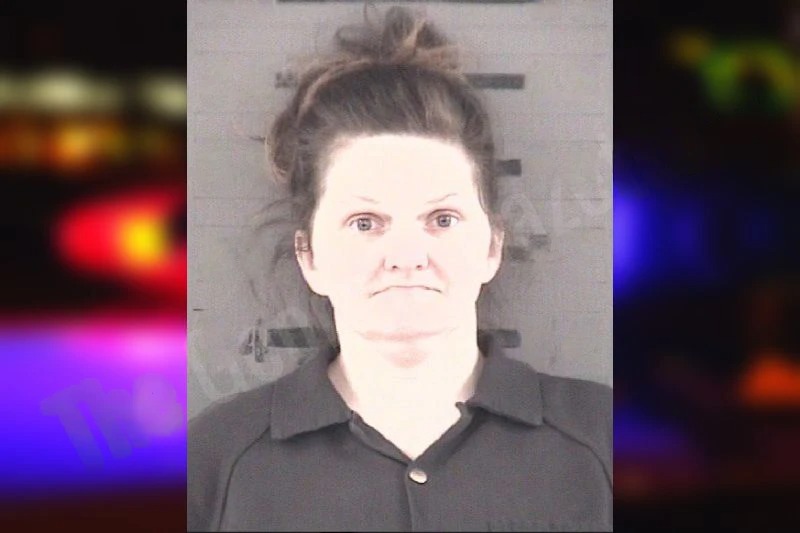 Amanda Webb Mugshots