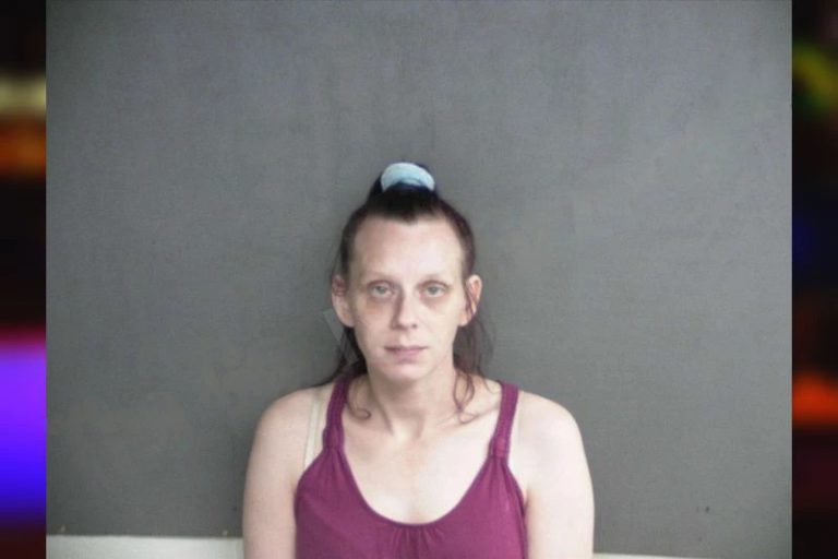 Amber Blanton mugshot – Twiggs County , Georgia Amber Blanton