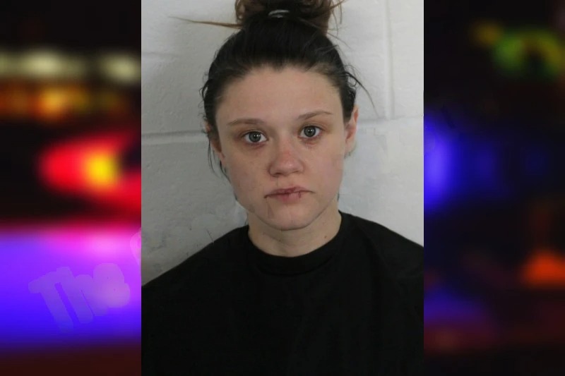 Amber Danford mugshot – Floyd County , Georgia Amber Danford mugshot