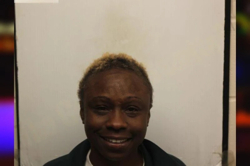 Amber Hawk mugshot – Chatham County , Georgia Amber Hawk mugshot