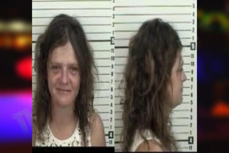 Amber Skinner mugshot – Camden County , Georgia Amber Skinner