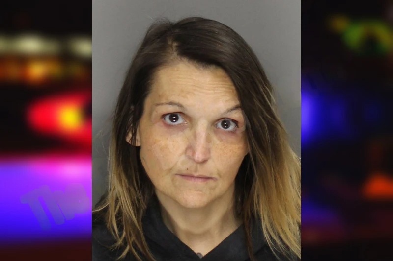 Amberly Hollis Mugshots