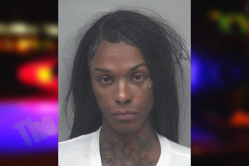 Ameenah Jaxxson mugshot