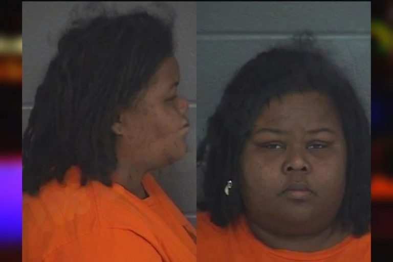 Amilia Jackson mugshot – Barrow County , Georgia Amilia Jackson