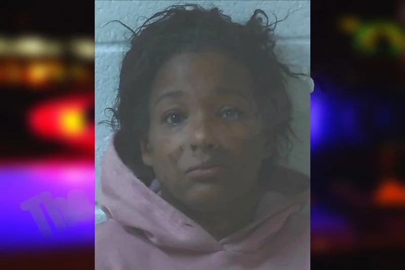 Ammetra Chandler Mugshots