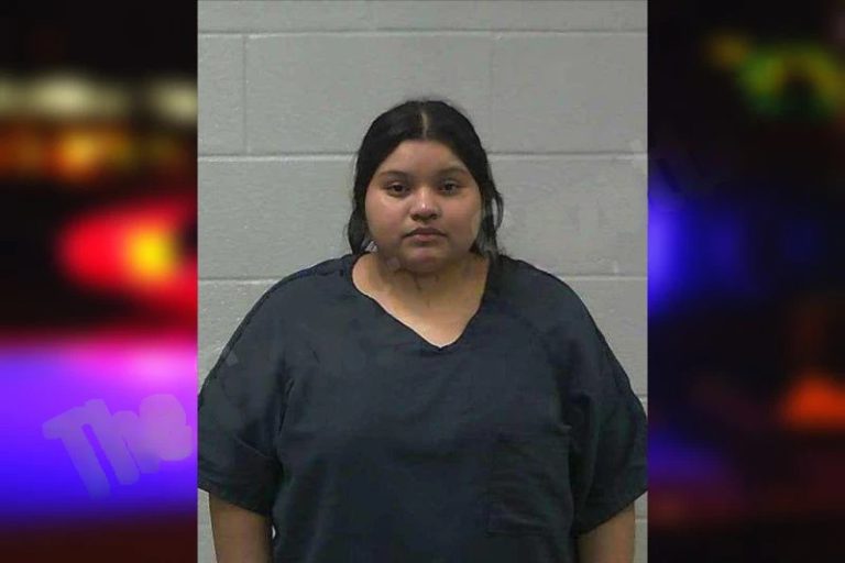 Amy Domingo mugshot – Gilmer County , Georgia Amy Domingo