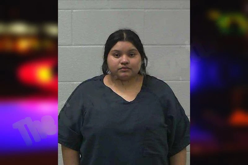 Amy Domingo Mugshots