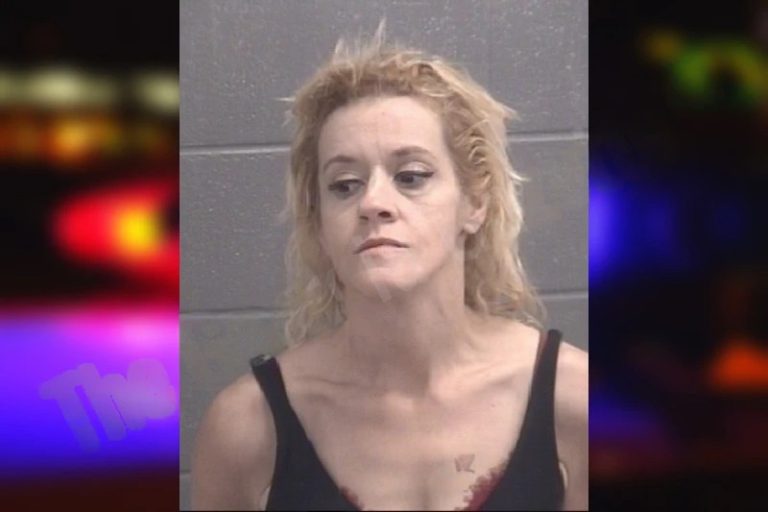 Amy Fuller mugshot – Spalding County , Georgia Amy Fuller