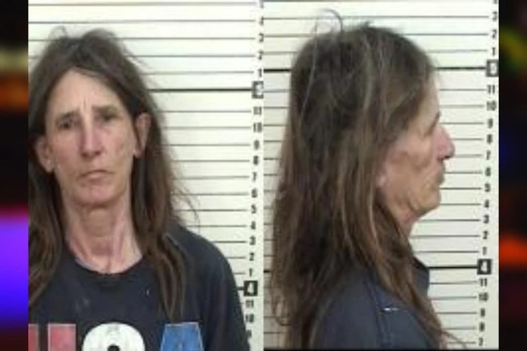 Amy King mugshot – Camden County , Georgia Amy King