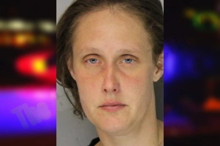 Amy Rider mugshot – Hall County , Georgia Amy Rider