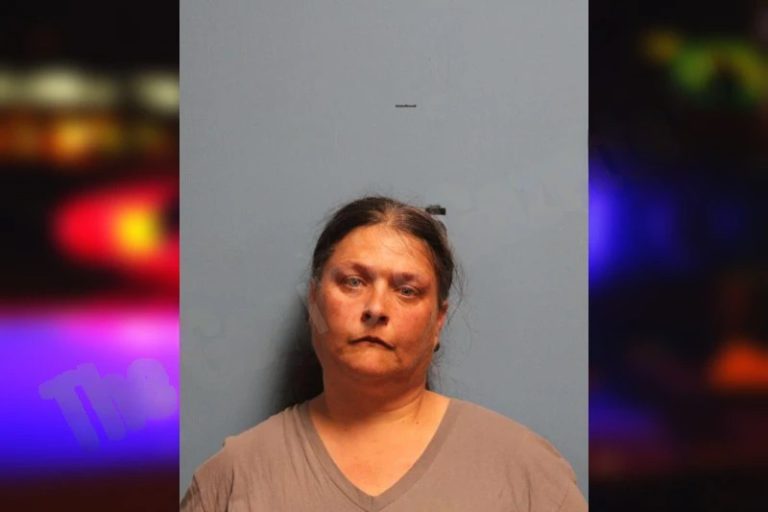 Amy Zellner mugshot – Monroe County , Georgia Amy Zellner