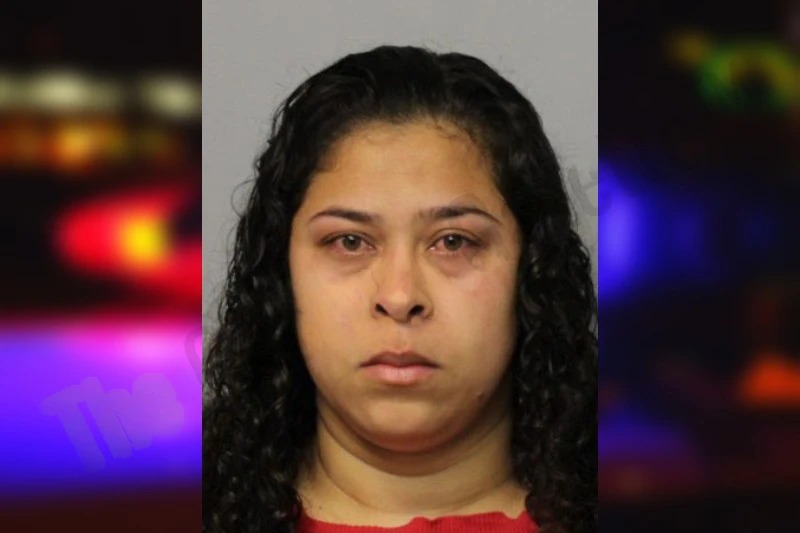 Ana Chavarria Alvarez mugshot – Hall County , Georgia Ana Chavarria Alvarez mugshot