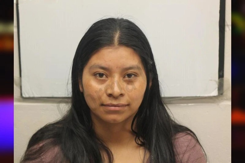 Ana Gomez-Mendez Mugshots