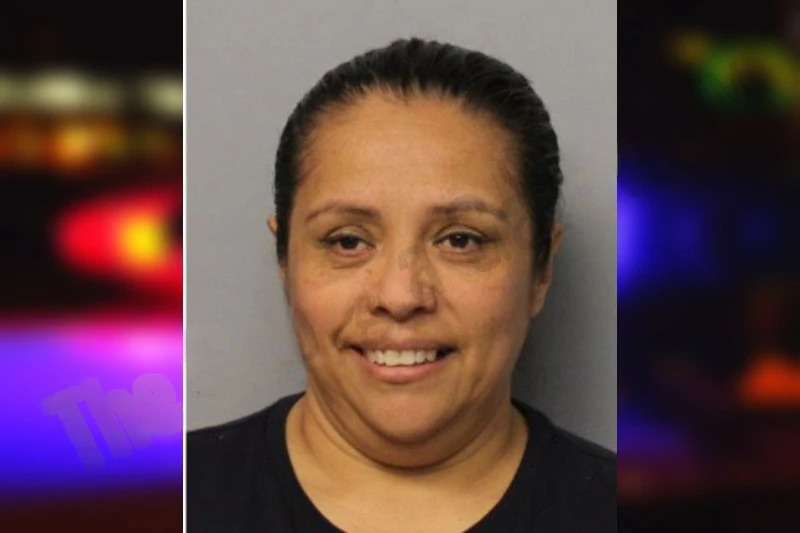 Ana Oblea-Gonzalez Mugshots