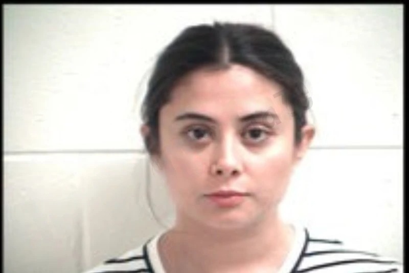 Ana Vera-Montano mugshot – Henry County , Georgia Ana Vera-Montano mugshot