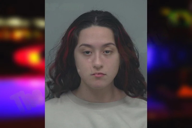 Anabella Khan Mugshots