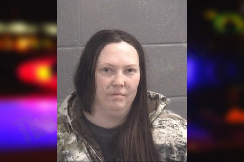 Andrea Bush Mugshots