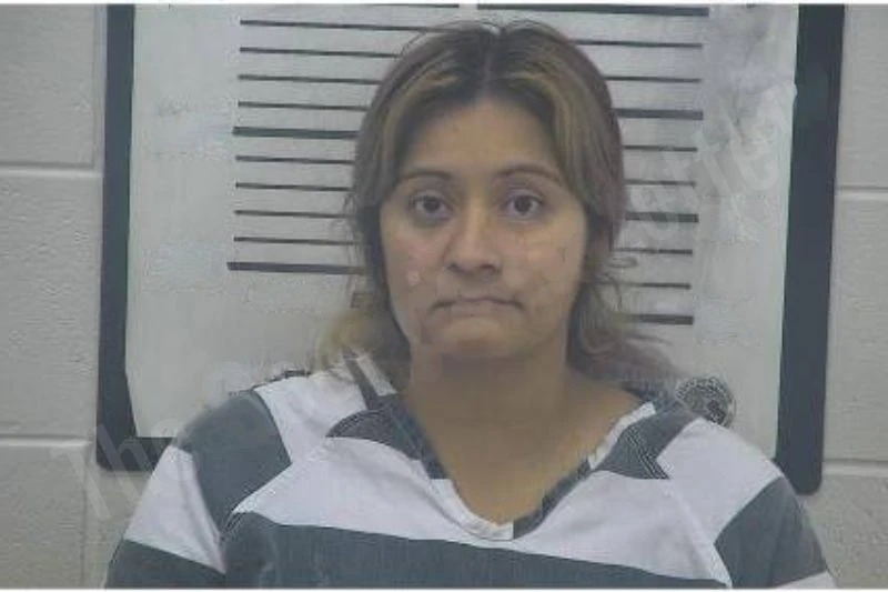 Andrea Rowley mugshot – Coffee County , Georgia Andrea Rowley mugshot