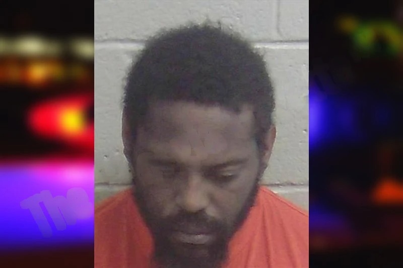 Andrew Plummer mugshot – Wayne County , Georgia Andrew Plummer mugshot